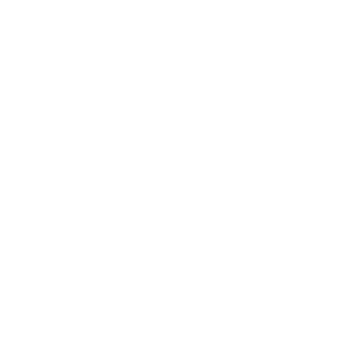 Google Ads von XHAUER